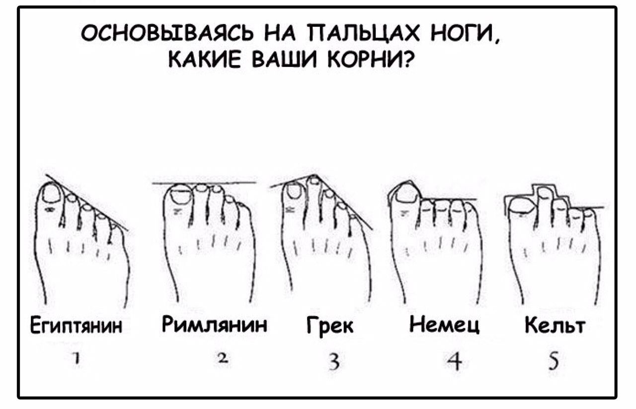 Определяем ваш корни по пальцам ног. 